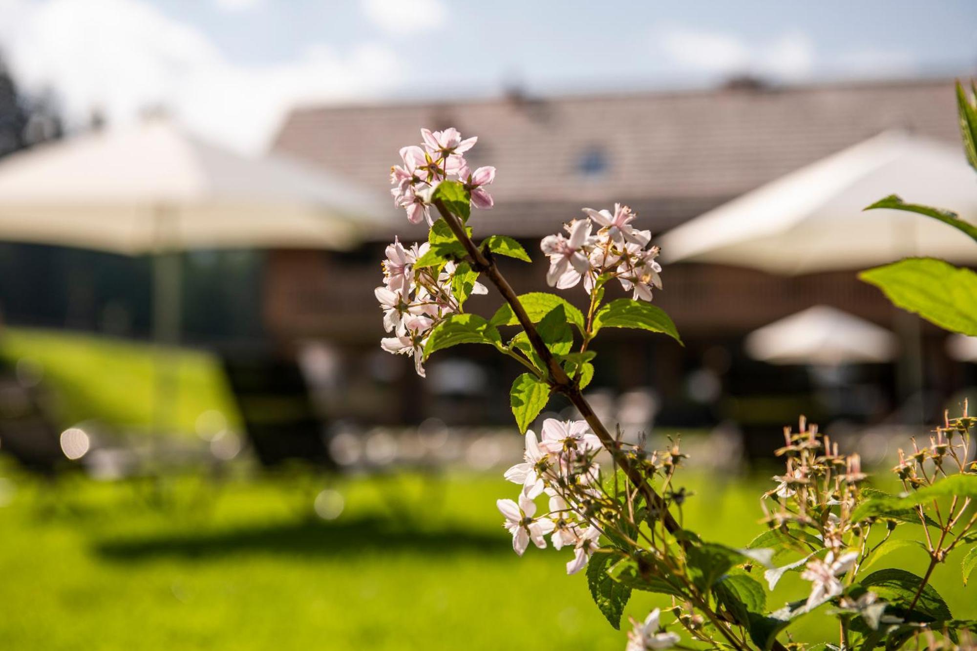 Lerchpeuntgut Alpenfreud Apartments Tamsweg Buitenkant foto
