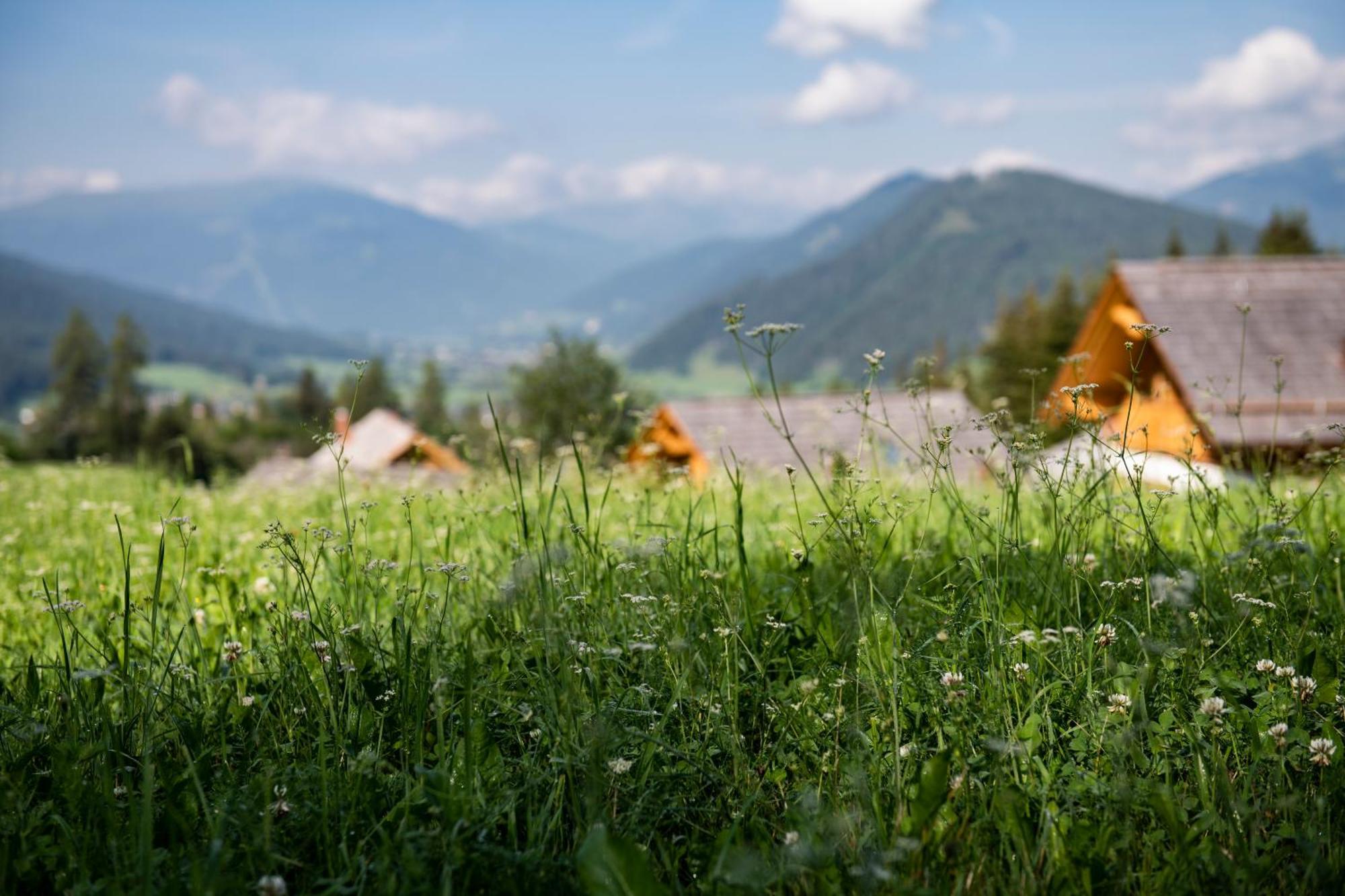 Lerchpeuntgut Alpenfreud Apartments Tamsweg Buitenkant foto