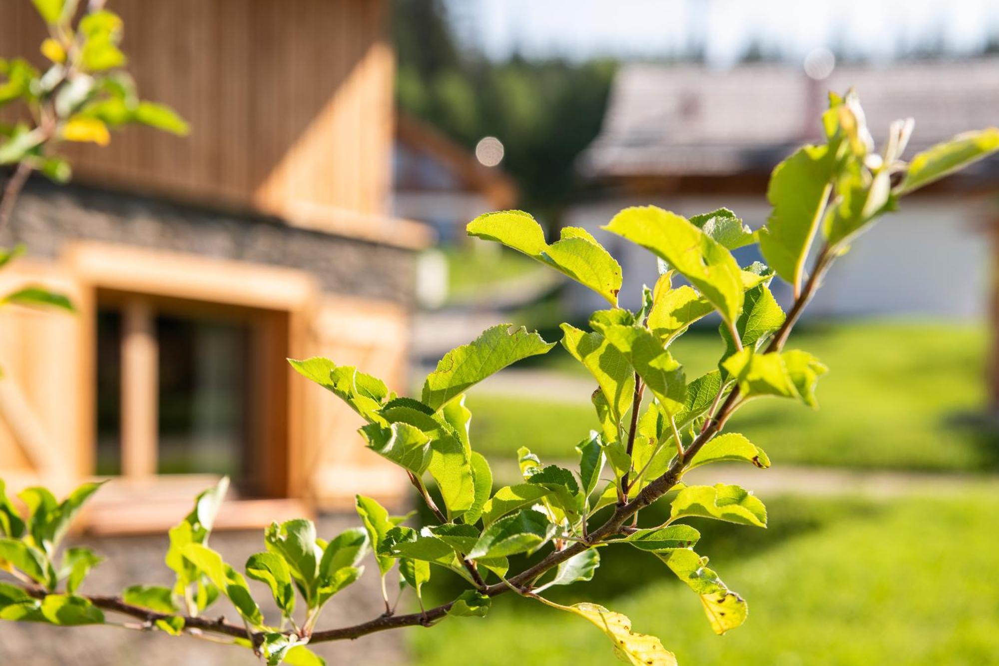 Lerchpeuntgut Alpenfreud Apartments Tamsweg Buitenkant foto